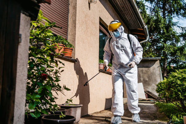 Flea Control Services in Mount Carmel, OH