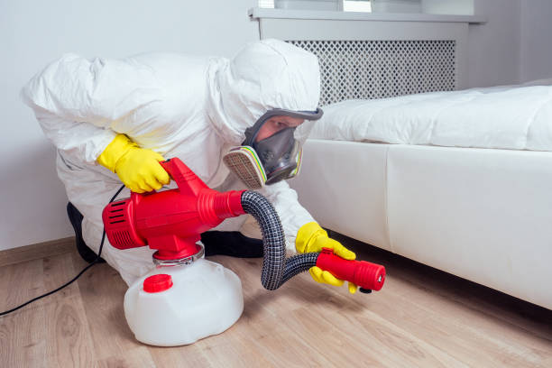 Best Cockroach Control Services  in Mount Carmel, OH