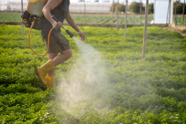 Best Commercial Pest Control Services  in Mount Carmel, OH