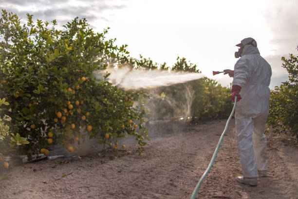 Pest Prevention Services in Mount Carmel, OH