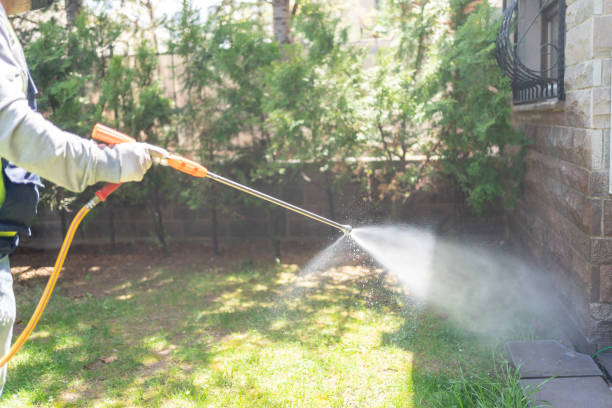 Professional Pest Control in Mount Carmel, OH