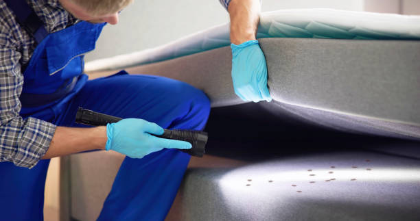 Best Flea Control Services  in Mount Carmel, OH