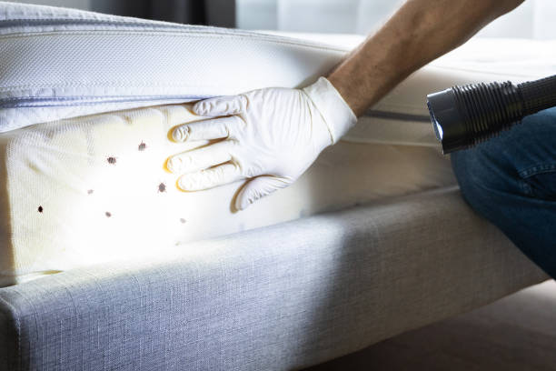Best Pest Inspection Near Me  in Mount Carmel, OH