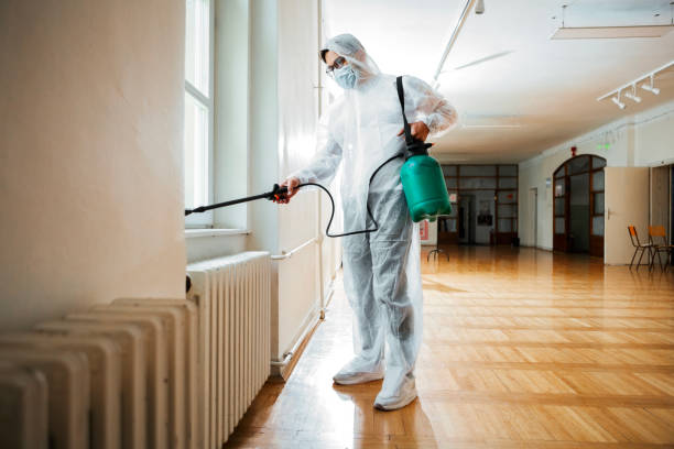 Best Affordable Pest Control Services  in Mount Carmel, OH